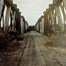 Bridge across Grey river near Blackball. Early 1970`s.