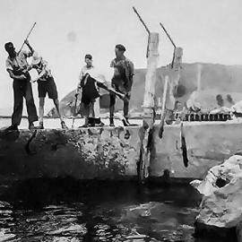 ALBUM - Growing up in Blaketown, Greymouth.