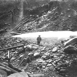 Goldmining in Westland - Sluicing.