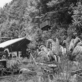 The aerial at Paparoa Mine -  Coal is carried from the Paparoa mine mouth to the Middle-brake by aerial ropeway.