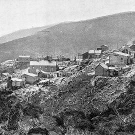 A view of the township of Denniston.1903.