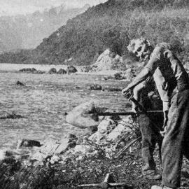 Clearing along the foreshore for the  access road to Jackson Bay. 1938.