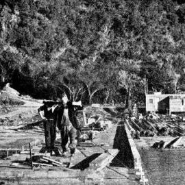 Looking toward the shore from the end of the wharf being built at Jackson Bay.1938.bay.