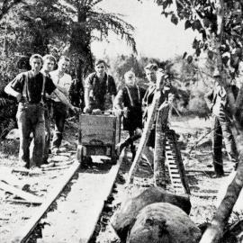 ALBUM - Gold claim near the famous Seddon’s Terrace on the banks of the Hokitika River