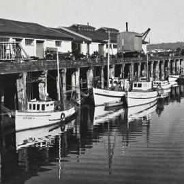 ALBUM - GREYMOUTH FISHING FLEET  -  Then and Now.
