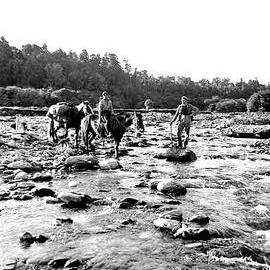 Bernard Teague and Angus Russell with horses, fording a river, Karangarua Valley, Westland District.1935 or 1941.