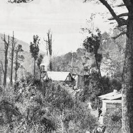 Miners' homes set in heavy bush country near the Alexander mine's workings in the Reefton district.1932.