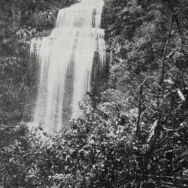 Waterfall at Coal Creek. 1909.