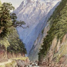 Looking up Otira Gorge, Westland, 1892.
