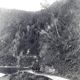 Stagecoach in the Buller Gorge.ca.1890`s.