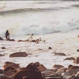 ALBUM - Our surfboard leg ropes often used to get caught on this wreck when surfing the point in Cobden