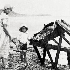 Prospector's wife washing iron sand, Rapahoe.1935.