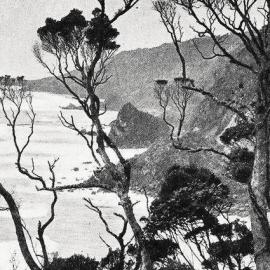 Breakers along the Coast seen through the cliff trees.1930.