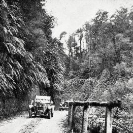 A bush-fringed section of the road near the Totara River bridge.1930