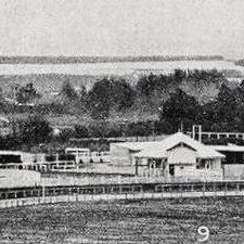 A panorama over the Hokitika racecourse.1919.