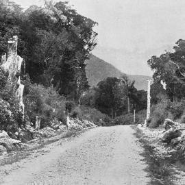A scene on the Christchurch-Hokitika Road near Kelly's Creek, Westland.