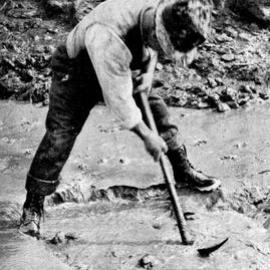 Clearing a snag at the  entrance to a pipe on a West Coast claim at Addison's Flat, near Westport .1940.