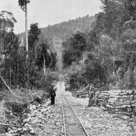 The new tramway of the Westport Cardiff mine, Seddonville.1903.