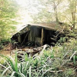 Derelict shack, Maruia Springs.2006.
