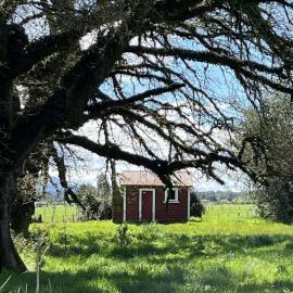 ALBUM - Tōtara flat .. this little place has some stories to tell.