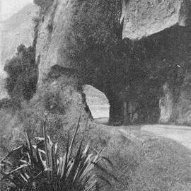 A rock arch at Buller Gorge, on the Westport side of Tiroroa, known variously as 'The Tunnel', 'The Cave', or 'Fern Arch'.1920`s.