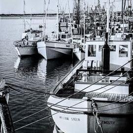  Council Tug, WILLIAM STEER, moored in the Blaketown lagoon.ca.1980`s.
