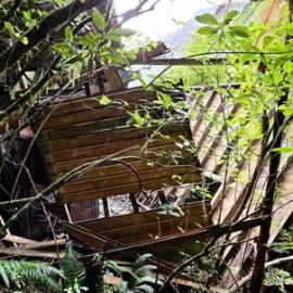 ALBUM - 2024 COLLAPSE of structure housing the Steam Boiler associated with the original REWANUI Coal Mine No.3 (and No.2 Middle Brake(1919-65). 