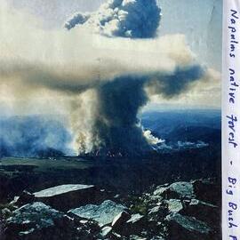 ALBUM - Napalm operations, NZ Forest service -  early 1980`s.