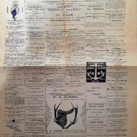 Original Lyell newspaper.1886.