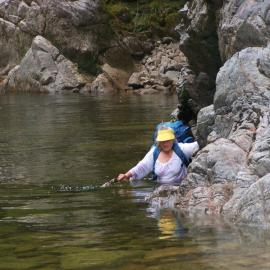 ALBUM - Mokihinui pix . 2015.