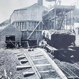 Darian Zam *PHOTO ALBUM*