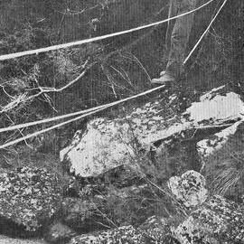 The ropeway at Camelot River, South Westland.1939-07-12.