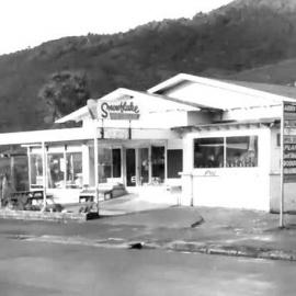 ALBUM - Early pics of the New Century Fruit and Garden shop.Greymouth.