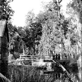 Three people on a small bridge,West Coast.ca.1890`s-1900`s.