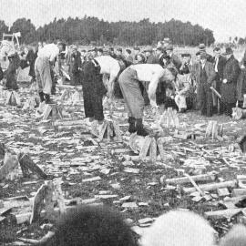 Axemen compete in the 13-inch log chopping event at the Wataroa sports day.1938.