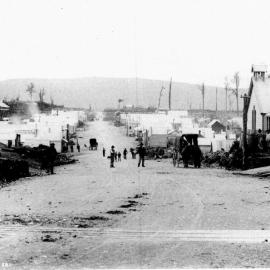 Rimu - Looking north.