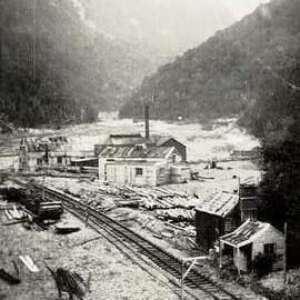 Near the tunnel entrance , Otira.1921.