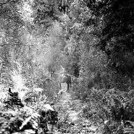 Horse riding, Gillespies Track, South Westland.ca.1932.