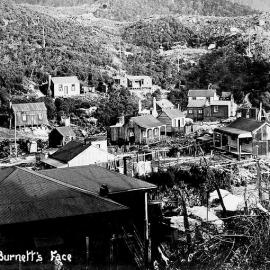 BURNETTS FACE, DENNISTON PLATEAU.