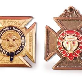 Royal Order of Antediluvian Buffaloes Lodge medals, found in Grey area