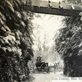 HOKITIKA (Blue Spur Road).
