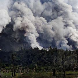 John Lester bush pioneer