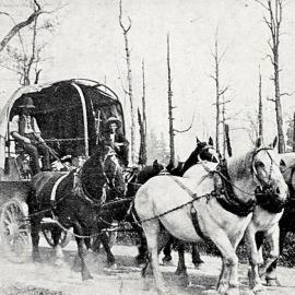 Stores for the Backblocks, West Coast.ca.1911.