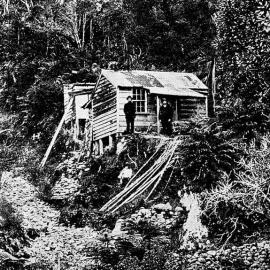 A LONELY DIGGER'S HUT , WEST COAST.ca.1911.