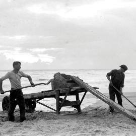 Two men filling a sluice box with sand from the beach in Westland.1935.