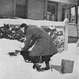 Winter tribulations - a miner digging through snow to get at his coal heap in Denniston.