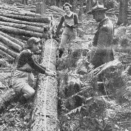 Land Girls measuring logs under direction of Captain J.O. Gough.1941.
