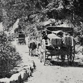 OTIRA GORGE -  ENROUTE FROM CANTERBURY TO WESTLAND.1911.