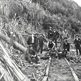 FLAX CUTTERS AT CAPE FOULWIND, WESTPORT.