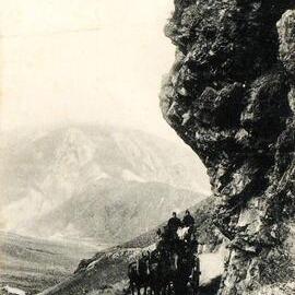 Horse and carriage, Porters Pass